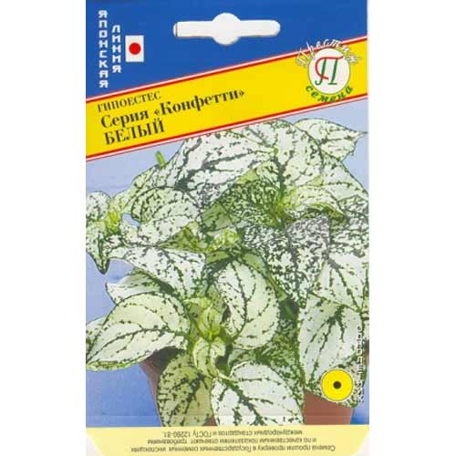 Гипоестес Конфетти белый Престиж изображение 1 артикул 71433
