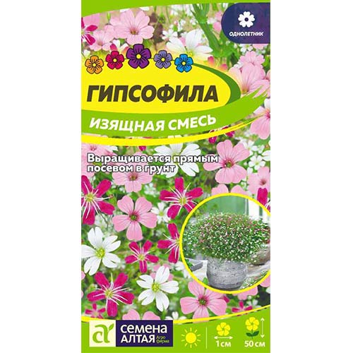 Гипсофила изящная, смесь окрасок Семена Алтая изображение 1 артикул 81651