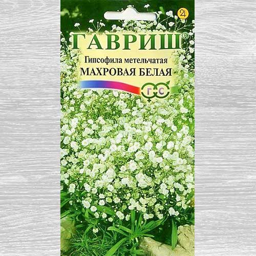 Гипсофила Махровая белая Гавриш артикул фото 1 Гипсофила Махровая белая Гавриш изображение 1 артикул 82356