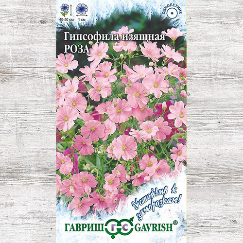 Гипсофила Роза Гавриш изображение 1 артикул 73831
