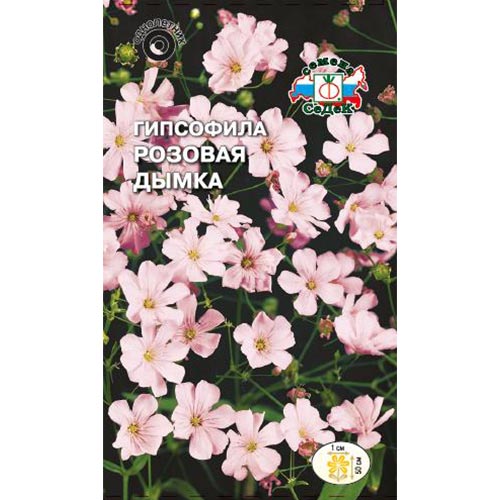 Гипсофила Розовая дымка Седек изображение 1 артикул 93751