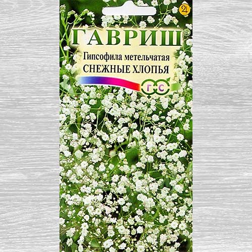 Гипсофила Снежные хлопья Гавриш артикул фото 1 Гипсофила Снежные хлопья Гавриш изображение 1 артикул 82357