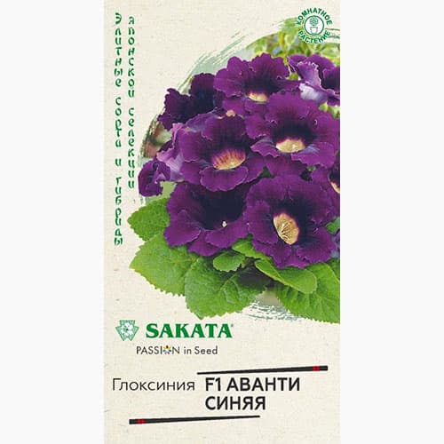 Глоксиния Аванти синяя F1 Гавриш артикул фото 1 Глоксиния Аванти синяя F1 Гавриш изображение 1 артикул 97667