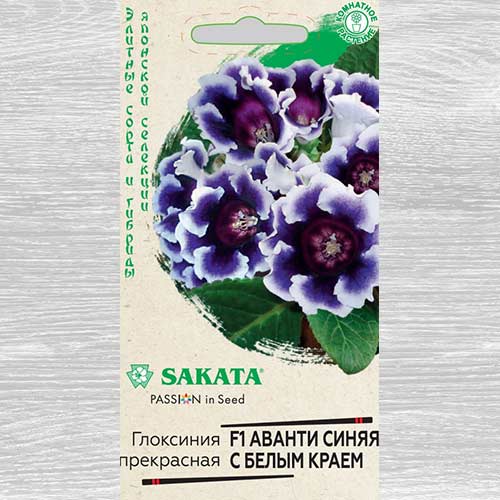 Глоксиния Аванти синяя с белым краем F1 Гавриш изображение 1 артикул 82363