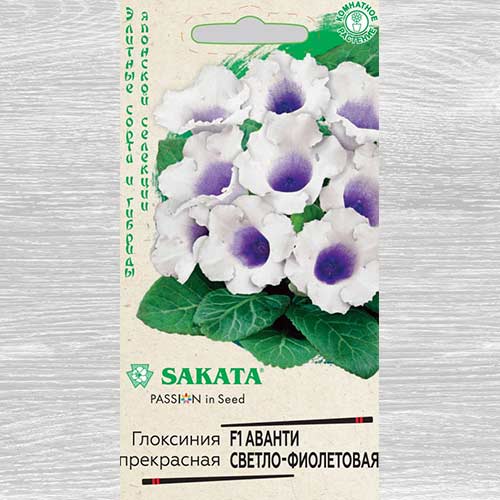 Глоксиния Аванти светло-фиолетовая F1 Гавриш артикул фото 1 Глоксиния Аванти светло-фиолетовая F1 Гавриш изображение 1 артикул 82362