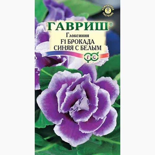 Глоксиния Брокада синяя с белым F1 Гавриш изображение 1 артикул 97672