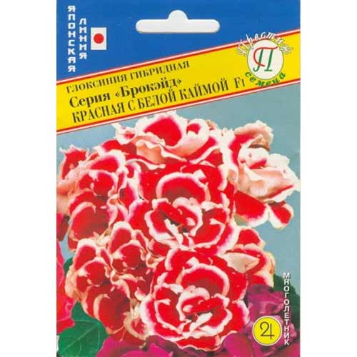 Глоксиния Брокэйд красная с белой каймой F1 Престиж изображение 1 артикул 71437