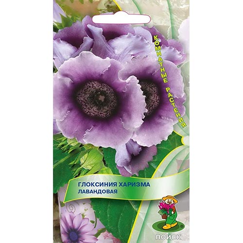 Глоксиния Харизма Лавандовая Поиск изображение 1 артикул 92954