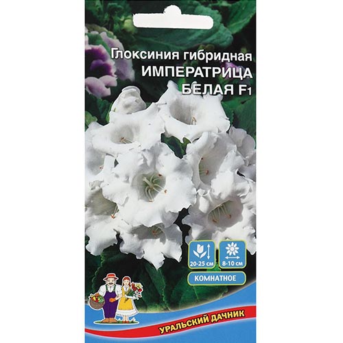 Глоксиния Императрица белая F1 Уральский дачник изображение 1 артикул 94785