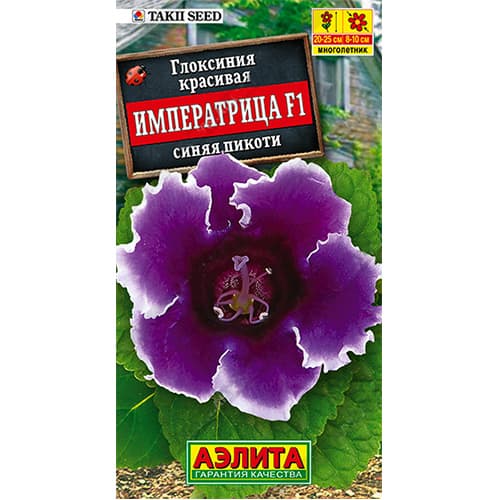Глоксиния Императрица синяя пикоти F1 Аэлита изображение 1 артикул 98943