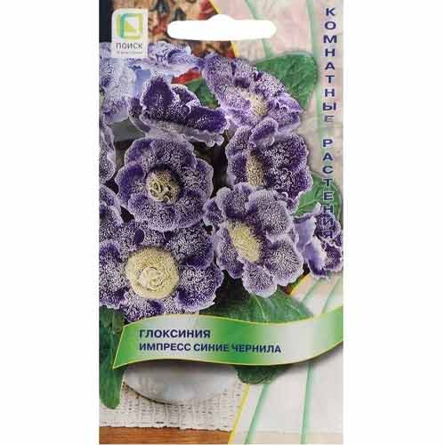 Глоксиния Импресс Синие чернила Поиск изображение 1 артикул 82113