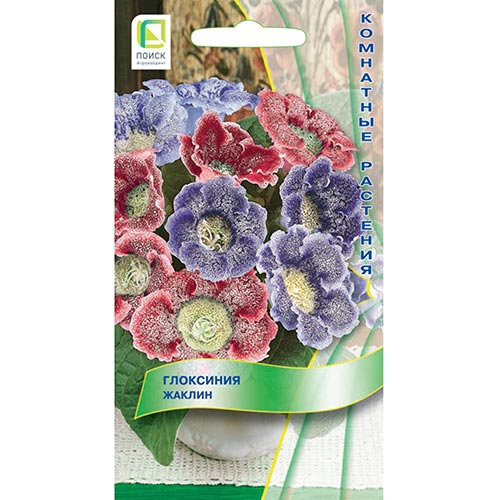 Глоксиния Жаклин, смесь окрасок Поиск изображение 1 артикул 92950