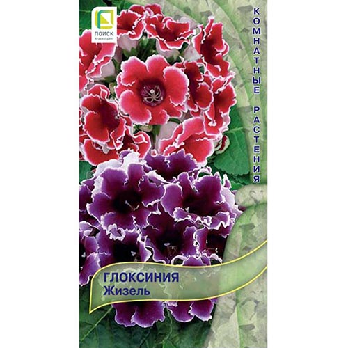 Глоксиния Жизель, смесь окрасок Поиск изображение 1 артикул 92951
