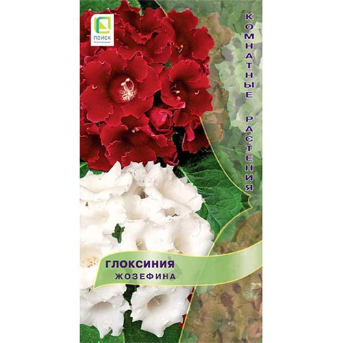 Глоксиния Жозефина, смесь окрасок Поиск изображение 1 артикул 92952