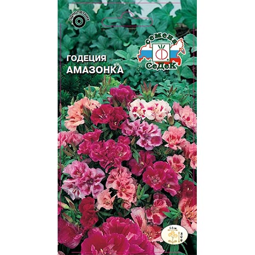 Годеция Амазонка, смесь окрасок Седек изображение 1 артикул 93752