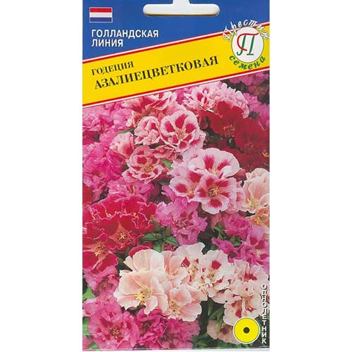 Годеция азалиецветковая, смесь окрасок Престиж артикул фото 1 Годеция азалиецветковая, смесь окрасок Престиж изображение 1 артикул 71441