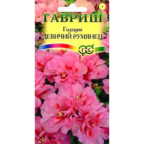 Годеция Девичий румянец Гавриш изображение 1 артикул 92021