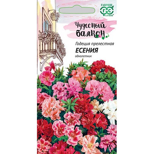 Годеция Есения, смесь окрасок Гавриш изображение 1 артикул 92022