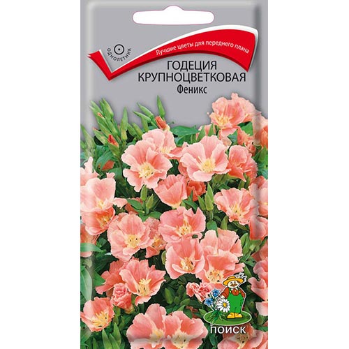 Годеция Феникс Поиск изображение 1 артикул 92958