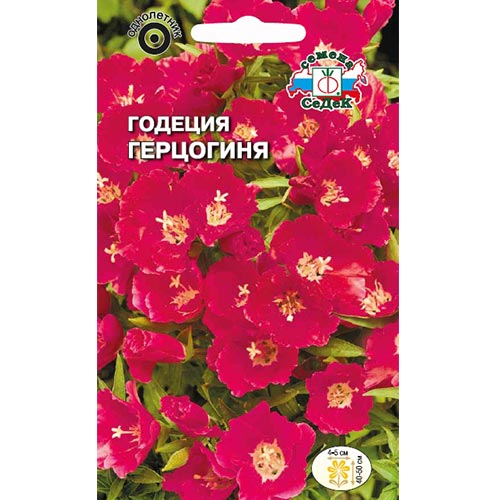 Годеция Герцогиня Седек изображение 1 артикул 93756