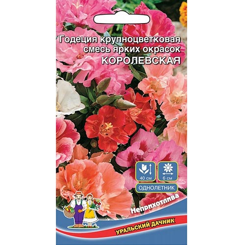 Годеция Королевская, смесь окрасок Уральский дачник изображение 1 артикул 94788