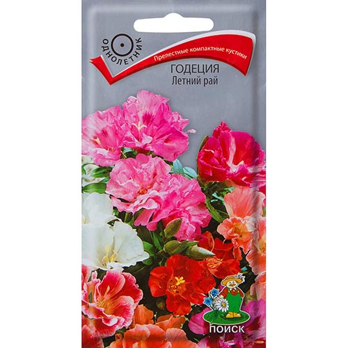 Годеция Летний рай, смесь окрасок Поиск изображение 1 артикул 92956