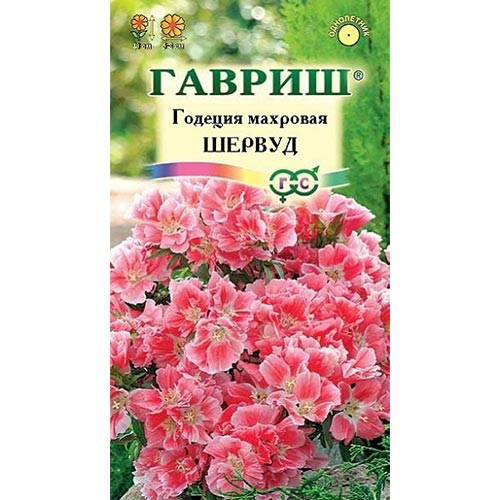 Годеция Шервуд Гавриш изображение 1 артикул 92024