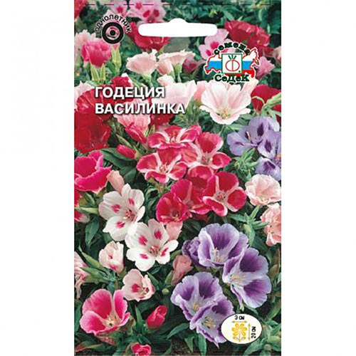 Годеция Василинка, смесь окрасок Седек изображение 1 артикул 93753