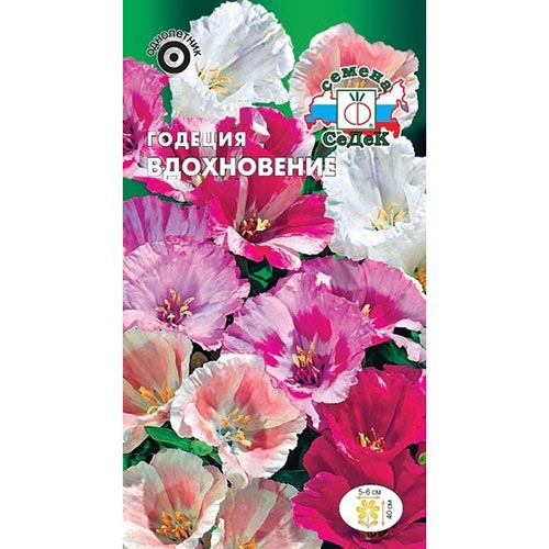Годеция Вдохновение, смесь окрасок Седек изображение 1 артикул 93754