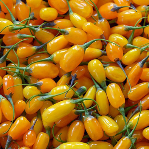 Годжи Свит Амбер изображение 2 артикул 8404