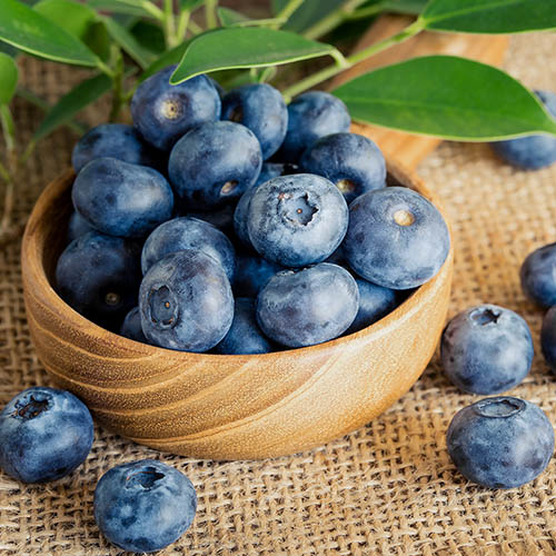 Голубика Бонифаций изображение 1 артикул 9291