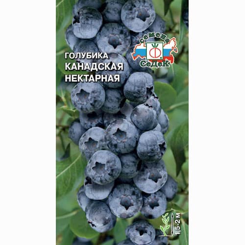 Голубика канадская Нектарная Седек артикул фото 1 Голубика канадская Нектарная Седек изображение 1 артикул 84935