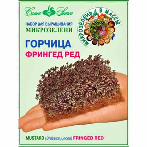 Горчица салатная Фрингед Ред Семко изображение 1 артикул 74894