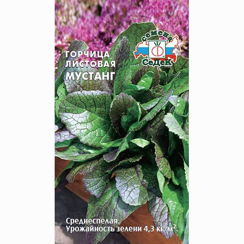 Горчица листовая Мустанг Седек изображение 1 артикул 93308