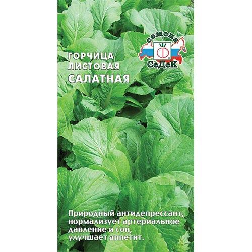 Горчица Салатная Седек изображение 1 артикул 93309