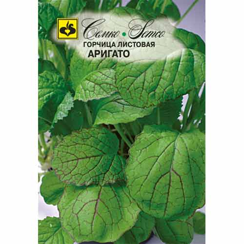 Горчица листовая Аригато Семко изображение 1 артикул 94232