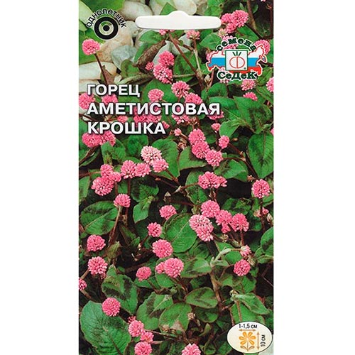 Горец Аметистовая крошка Седек изображение 1 артикул 93759