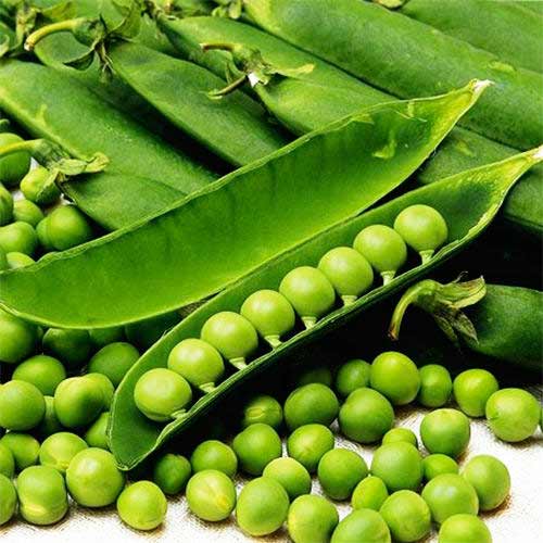 Горох Детская радость Уральский дачник изображение 1 артикул 94483