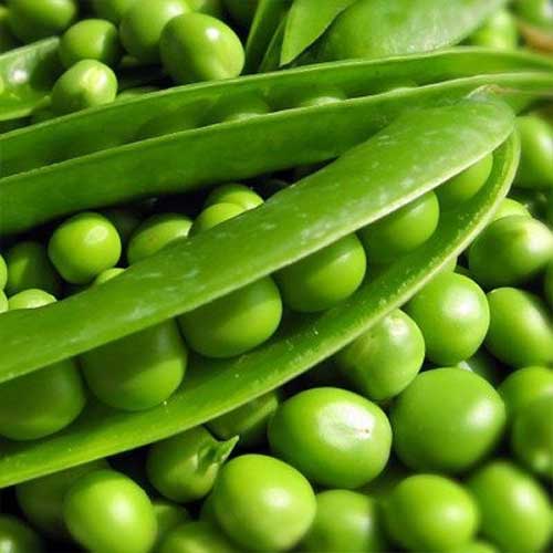 Горох Фаворит Русский огород НК изображение 1 артикул 82760