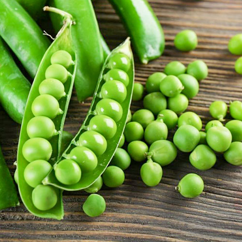 Горох Счастливое детство Уральский дачник артикул фото 1 Горох Счастливое детство Уральский дачник изображение 1 артикул 83047