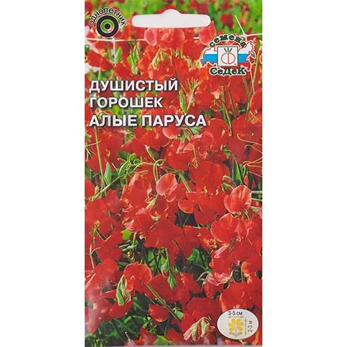 Горошек душистый Алые паруса Седек изображение 1 артикул 93760
