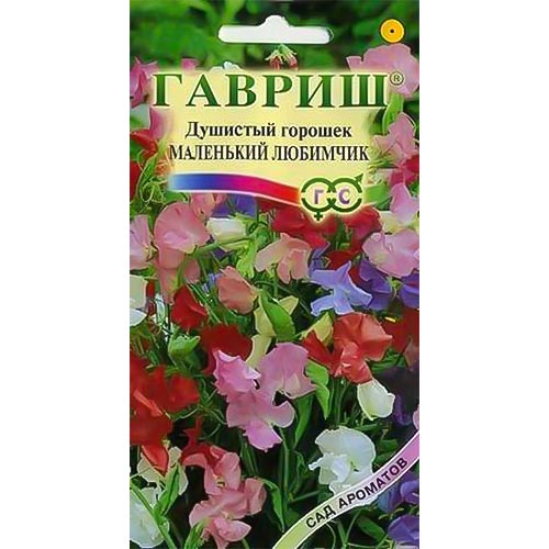 Горошек душистый Маленький любимчик, смесь окрасок Гавриш изображение 1 артикул 92030