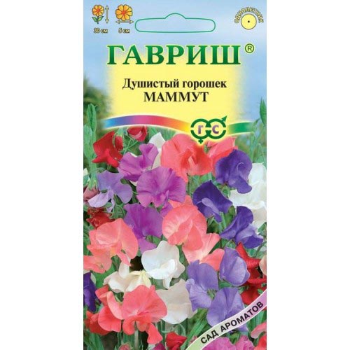 Горошек душистый Маммут, смесь окрасок Гавриш изображение 1 артикул 92031