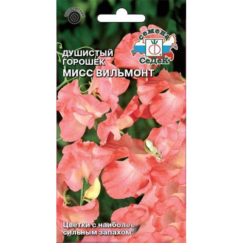 Горошек душистый Мисс Вильмонт Седек изображение 1 артикул 93762