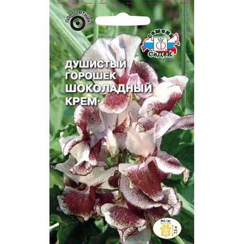 Горошек душистый Шоколадный крем Седек изображение 1 артикул 93764