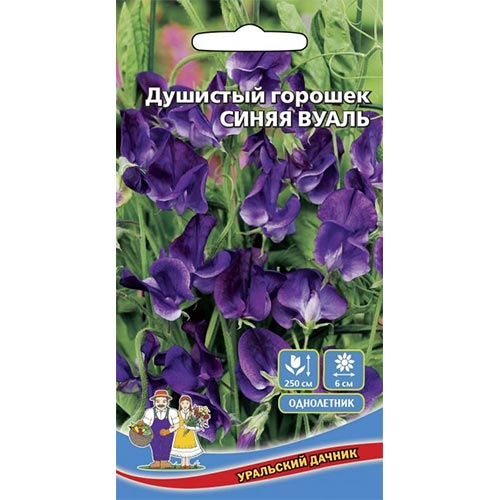 Горошек душистый Синяя вуаль Уральский дачник изображение 1 артикул 94790