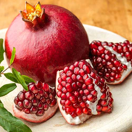 Гранат Азиатский изображение 1 артикул 4170