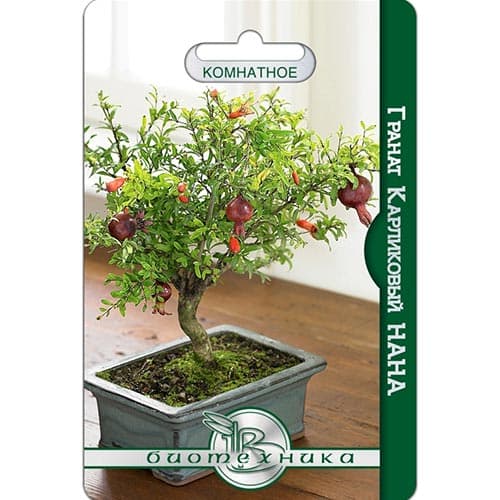 Гранат карликовый Нана Биотехника изображение 1 артикул 91500