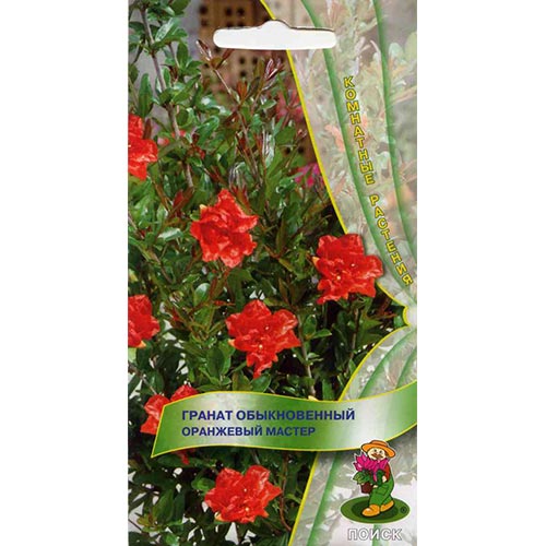 Гранат карликовый Оранжевый мастер Поиск изображение 1 артикул 92710