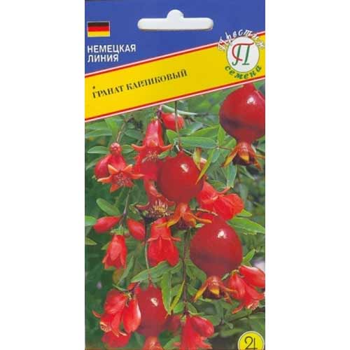 Гранат карликовый Престиж изображение 1 артикул 65831